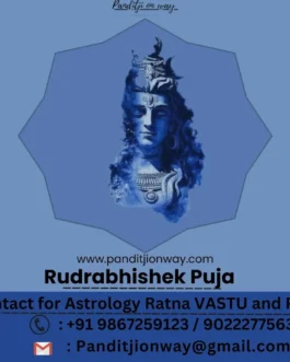 Rudra Abhishek Puja | Pandit For Rudra Abhishek Puja