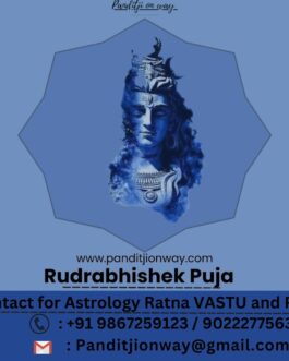 Rudraabhishek Puja