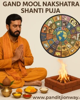 Gand Mool Nakshatra Shanti Puja