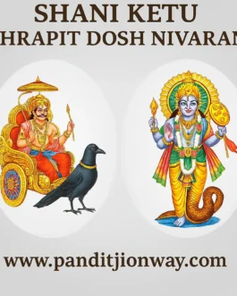 Shani Ketu Shrapit Dosh Nivaran