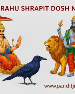 Shani Rahu Shrapit Dosh Nivaran | शनि राहु श्रापित दोष शांति पूजा
