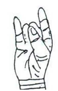 Apana Mudra