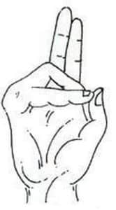 Prana Mudra