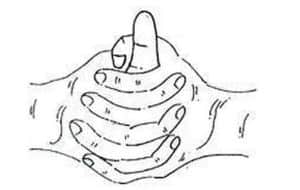 linga mudra