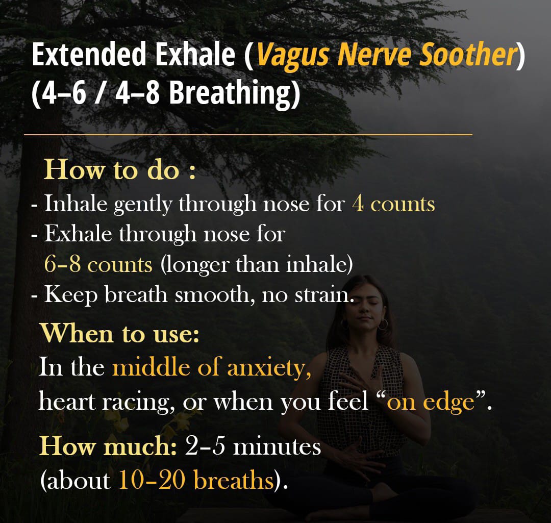 Extended Exhale (Vagus Nerve Soother) (4–6 4–8 Breathing)