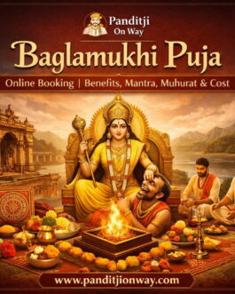 Baglamukhi Puja Online Booking | Benefits, Mantra, Muhurat & Cost