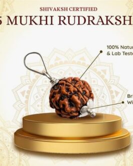Authentic 5 Mukhi Rudraksha Numerology Pendant