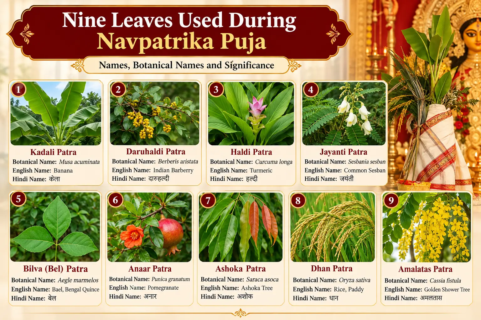 Navpatrika Puja Nine Sacred Leaves