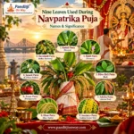Nine Leaves Used During Navpatrika Puja: Names & Significance