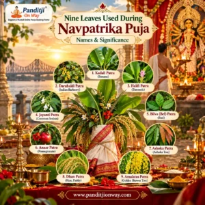 Nine Leaves Used During Navpatrika Puja